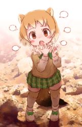 Rule 34 | 10s, 1girl, animal ears, black-tailed prairie dog (kemono friends), blank speech bubble, blush, bow, commentary request, footwear bow, from above, fur collar, kemono friends, kolshica, light brown hair, long sleeves, multicolored hair, plaid, plaid skirt, pleated skirt, shoes, short hair, skirt, sneakers, solo, speech bubble, sweater, tail, thighhighs, white hair, zettai ryouiki