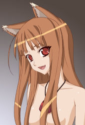 Rule 34 | 00s, 1girl, animal ears, brown hair, censored, convenient censoring, fang, hair censor, hair over breasts, holo, jewelry, long hair, necklace, nude, okiyumi kase, red eyes, solo, spice and wolf, wolf ears