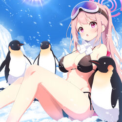 Rule 34 | 1girl, animal, ass, bare legs, bikini, bird, black bikini, blue archive, blush, breasts, cleavage, day, eimi (blue archive), eimi (swimsuit) (blue archive), goggles, goggles on head, halo, highres, large breasts, long hair, mutsuse, official alternate costume, open mouth, outdoors, penguin, pink eyes, pink hair, pink halo, ponytail, scarf, snow, solo, swimsuit, very long hair, white scarf