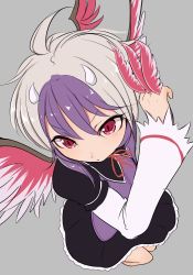 Rule 34 | 1girl, ahoge, between fingers, black dress, blush, chestnut mouth, dress, eyelashes, feathered wings, feathers, fighting stance, foreshortening, from above, grey background, head wings, holding, long sleeves, looking down, marsen, multicolored hair, multicolored wings, purple hair, red eyes, red wings, short hair, silver hair, simple background, single head wing, solo, tokiko (touhou), touhou, two-tone hair, v-shaped eyebrows, wide sleeves, wings