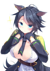 Rule 34 | 1girl, :/, absurdres, ahoge, alternate breast size, animal ears, black gloves, black hair, black jacket, black necktie, blue eyes, blush, breasts, center frills, center opening, cleavage, closed mouth, collared shirt, ear ornament, ears down, eyelashes, eyes visible through hair, frilled shirt, frills, fuji kiseki (umamusume), furrowed brow, gloves, hands up, highres, horse ears, horse girl, horse tail, jacket, kanzakietc, large breasts, long sleeves, looking at viewer, multicolored hair, necktie, no bra, open clothes, open jacket, shirt, short hair, solo, sparkle, tail, two-tone hair, umamusume, white hair, white shirt, wing collar