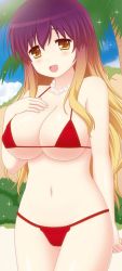Rule 34 | 1girl, :d, alternate costume, bead necklace, beads, bikini, blonde hair, blush, breasts, cleavage, cowboy shot, cpu (hexivision), gradient hair, groin, hand on own chest, hijiri byakuren, jewelry, large breasts, long hair, looking at viewer, multicolored hair, navel, necklace, open mouth, palm tree, pearl necklace, prayer beads, purple hair, red bikini, sideboob, sidelocks, smile, solo, sparkle, swimsuit, thigh gap, touhou, tree, underboob, yellow eyes