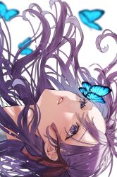 Rule 34 | 1girl, blue butterfly, bug, butterfly, close-up, fate/stay night, fate (series), from side, hair between eyes, hair ribbon, highres, insect, long hair, looking to the side, matou sakura, open mouth, purple eyes, purple hair, ribbon, shimatori (sanyyyy), shirt, simple background, solo, white background, white shirt