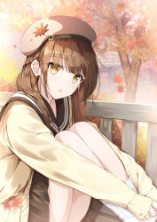 Rule 34 | 1girl, absurdres, autumn, beret, black sailor collar, black skirt, blurry, blurry background, blush, braid, brown cardigan, brown hair, cardigan, commentary request, daidai (daidai826), falling leaves, feet out of frame, hat, highres, knees up, leaf, long hair, long sleeves, looking at viewer, maple leaf, original, outdoors, parted lips, pleated skirt, railing, sailor collar, scenery, sitting, skirt, sleeves past wrists, socks, solo, tree, uniform, white hat, white socks, yellow eyes
