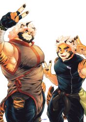Rule 34 | 1boy, age comparison, aged down, animal ears, bara, claws, commentary request, double v, fingerless gloves, furry, furry male, gloves, highres, huge pectorals, indie virtual youtuber, looking at viewer, male focus, open mouth, pawpads, saro (rotsw 00022), smile, tail, tiger boy, tiger ears, tiger stripes, tiger tail, trad monmon, v, virtual youtuber, white background