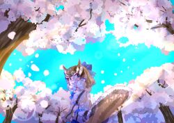 Rule 34 | 1girl, absurdres, animal ears, blue eyes, blue sky, brown hair, cherry blossoms, chipmunk ears, chipmunk girl, chipmunk tail, extra ears, gloves, highres, kemono friends, kemono friends v project, looking at viewer, microphone, outdoors, ribbon, shirt, short hair, shorts, siberian chipmunk (kemono friends), sky, solo, tail, tutti tutio, vest, virtual youtuber