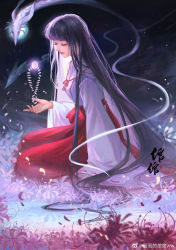Rule 34 | 1girl, black hair, closed mouth, expressionless, flower, from side, full body, hakama, half-closed eyes, highres, huahua de wanwan ww, inuyasha, japanese clothes, jewelry, kikyou (inuyasha), kneeling, light particles, long hair, long sleeves, looking down, necklace, night, red hakama, solo, spider lily, spirit