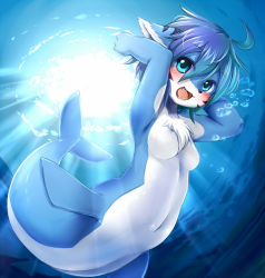 Rule 34 | 1girl, ahoge, animal ears, bad id, bad nicoseiga id, blue eyes, breasts, bubble, colored skin, fang, fins, furry, furry female, kagerofu, looking at viewer, mermaid, monster girl, multicolored skin, navel, no nipples, ocean, original, short hair, silver hair, small breasts, smile, solo, sunlight, tail, two-tone skin, underwater, underwear