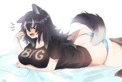 Rule 34 | 1girl, animal ears, asano (asamusuko), black hair, black shirt, blue eyes, blue panties, blush, breasts, clothes writing, elbow rest, fang, grey wolf (kemono friends), kemono friends, large breasts, long hair, lying, no pants, on stomach, one eye closed, open mouth, panties, shirt, signature, sleepy, solo, tail, underwear, wolf ears, wolf tail, yawning
