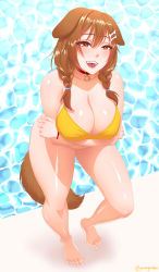 Rule 34 | 1girl, absurdres, animal ears, bare shoulders, bikini, blush, bone hair ornament, bracelet, breasts, brown eyes, brown hair, choker, collar, commission, crossed arms, fangs, feet, from above, hair ornament, highres, hololive, inugami korone, jesse jordan, jewelry, large breasts, legs apart, lips, looking at viewer, looking up, open mouth, pigtail braids, pool, poolside, shiny skin, smile, solo, swimsuit, tail, thick thighs, thighs, twitter username, virtual youtuber, water, yellow bikini