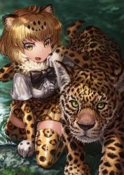 Rule 34 | 10s, 1girl, animal, animal ears, arm support, black bow, blurry, bow, bowtie, depth of field, elbow gloves, fur collar, gloves, green eyes, high-waist skirt, highres, jaguar, jaguar (kemono friends), jaguar ears, jaguar print, kemono friends, lain, leg lift, looking at viewer, open mouth, outdoors, partially submerged, print gloves, print neckwear, shade, shirt, short sleeves, skirt, smile, water, wet, wet clothes, wet hair, white shirt, yellow eyes