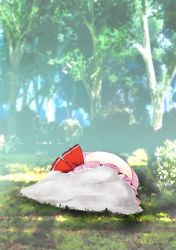 Rule 34 | ashes, blue sky, chima q, commentary request, day, death, forest, grass, hat, hat ribbon, mob cap, nature, no humans, outdoors, pink hat, red ribbon, remilia scarlet, ribbon, sky, touhou, tree