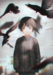 Rule 34 | 1girl, aran sweater, asymmetrical bangs, bird, blurry, blurry background, brown eyes, brown hair, cable knit, chromatic aberration, closed mouth, commentary, crow, expressionless, feathers, grey sweater, hair ornament, highres, iwakura lain, kouka (mrakano5456), long sleeves, looking at viewer, outdoors, power lines, serial experiments lain, short hair, single sidelock, solo, sweater, upper body, x hair ornament