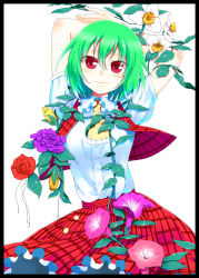 Rule 34 | 1girl, arms up, ascot, b-ginga, breasts, daffodil, dress shirt, female focus, flower, green hair, kazami yuuka, light smile, looking at viewer, medium breasts, morning glory, plaid, plaid skirt, plaid vest, plant, purple flower, purple rose, red eyes, red flower, red rose, rose, shirt, short hair, simple background, skirt, skirt set, smile, solo, touhou, vest, vines, white background