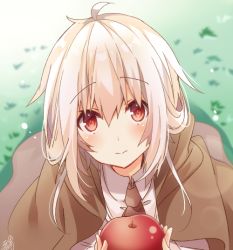 Rule 34 | 1girl, apple, blurry, blurry background, blush, brown cloak, brown neckwear, cloak, closed mouth, collared shirt, day, depth of field, food, fruit, grass, hair between eyes, holding, holding food, holding fruit, hood, hood down, hooded cloak, light brown hair, long hair, omuretsu, original, outdoors, red apple, red eyes, shirt, signature, solo, white shirt