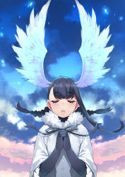 Rule 34 | 1girl, bird girl, bird wings, black-headed ibis (kemono friends), black gloves, black hair, black neckwear, bow, bowtie, braid, closed eyes, cloud, cloudy sky, elbow gloves, facing viewer, frilled sleeves, frills, fur collar, gloves, happa (cloverppd), head wings, kemono friends, neck ribbon, own hands clasped, own hands together, parted lips, praying, ribbon, shirt, short hair, short sleeves, sky, solo, twin braids, upper body, white fur, white shirt, wings