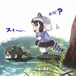 Rule 34 | 10s, 2girls, :d, american alligator (kemono friends), animal ears, black hair, black skirt, brown eyes, commentary request, common raccoon (kemono friends), crocodilian tail, fur collar, gradient hair, green hair, grey hair, kemono friends, long hair, looking away, multicolored hair, multiple girls, open mouth, pantyhose, parody, partially submerged, photo-referenced, ponytail, purple eyes, raccoon ears, raccoon tail, revision, riding, short hair, shoulder spikes, skirt, smile, spikes, swimming, tail, tanaka kusao, translation request, tree, water, white legwear