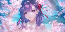 Rule 34 | 1girl, cherry blossoms, chinese commentary, commentary request, dress, fate/hollow ataraxia, fate/stay night, fate (series), flower, hair ribbon, level02, long hair, long sleeves, looking at viewer, matou sakura, pink flower, purple eyes, purple hair, red ribbon, ribbon, smile, solo