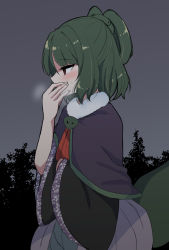 Rule 34 | 1other, adagumo no saragimaru, androgynous, capelet, green hair, hair ornament, highres, len&#039;en, night, night sky, ougi hina, red eyes, short hair, side ponytail, sky, snake hair ornament, snake tail, solo, tail, wide sleeves