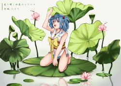Rule 34 | 1girl, absurdres, artistic error, bad reflection, barefoot, blue eyes, blue hair, blush, breasts, eyebrows, flower, hair bobbles, hair ornament, highres, kawashiro nitori, kneeling, lily pad, long hair, looking away, looking up, lotus, medium breasts, mie pu, open mouth, reflection, smile, solo, thighs, touhou, translation request, twintails, two side up