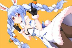 Rule 34 | 1girl, animal ear fluff, animal ears, black gloves, black pantyhose, blue hair, blush, braid, breasts, carrot, carrot hair ornament, closed mouth, coat, detached sleeves, food-themed hair ornament, fur-trimmed coat, fur-trimmed gloves, fur trim, gloves, hair ornament, hololive, index finger raised, long braid, long hair, looking at viewer, marugoshi (54burger), medium breasts, multicolored hair, pantyhose, rabbit-shaped pupils, rabbit ears, rabbit girl, rabbit tail, scarf, short eyebrows, simple background, smile, solo, symbol-shaped pupils, twin braids, two-tone hair, usada pekora, usada pekora (1st costume), virtual youtuber, white coat, white hair, yellow background