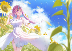 Rule 34 | 1girl, absurdres, ahoge, blue hair, blue nails, blue sky, blurry, blurry foreground, blush, braid, breasts, cloud, colored inner hair, day, dress, field, floating hair, flower, flower field, highres, hololive, long hair, medium breasts, minato aqua, multicolored hair, nail polish, nogami (minamiituki), open mouth, outdoors, pink hair, purple eyes, short sleeves, sky, solo, standing, sunflower, sunflower field, virtual youtuber, white dress