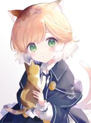 Rule 34 | 1girl, animal, animal ears, arknights, bad id, bad pixiv id, black jacket, blush, cat, cat ears, cat tail, commentary, expressionless, green eyes, hair between eyes, holding, holding animal, holding cat, jacket, long sleeves, looking at viewer, mousse (arknights), multiple tails, no gloves, no headwear, orange hair, short hair, skirt, tail, toufu mentaru zabuton, upper body, white background