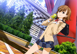 Rule 34 | 1girl, absurdres, bag, blue skirt, bow, bowtie, brown eyes, brown hair, brown jacket, can, collared shirt, day, dress shirt, dutch angle, highres, holding, holding bag, holding can, jacket, long sleeves, looking at viewer, miniskirt, misaka mikoto, official art, outdoors, plaid, plaid skirt, red bow, red bowtie, school uniform, shirt, short hair, skirt, smile, solo, standing, toaru majutsu no index, white shirt, wing collar