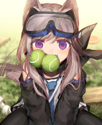 Rule 34 | 1girl, animal ear fluff, animal ears, arknights, asicah, ball, between legs, black jacket, black pantyhose, blue necktie, blurry, blurry background, brown hair, cardigan (arknights), dated, depth of field, detached sleeves, dog ears, dog girl, dog tail, fang, female focus, goggles, goggles on head, hair between eyes, hand between legs, jacket, long hair, looking at viewer, mouth hold, necktie, pantyhose, purple eyes, shirt, sitting, solo, straight-on, tail, tail wagging, tennis ball, white shirt