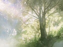 Rule 34 | bush, day, forest, grass, highres, nature, no humans, original, outdoors, painting (medium), plant, plant focus, scenery, sunlight, tall grass, toyonaga ryouhei, traditional media, tree, watercolor (medium), watermark, weeds