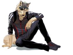 Rule 34 | 1boy, animal ears, black footwear, black jacket, black pants, body fur, brown fur, claws, closed mouth, elbow on knee, eyepatch, full body, furry, furry male, grey fur, highres, jacket, knee up, looking at viewer, male focus, one eye covered, original, pants, partially unzipped, shoes, sitting, sneakers, solo, tail, white background, wolf boy, wolf ears, wolf tail, yellow eyes, yoshi kaoru
