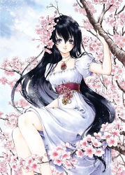 Rule 34 | 1girl, black hair, branch, cherry blossoms, dress, in tree, jewelry, long hair, lowres, necklace, purple eyes, shiitake (gensoudou), short sleeves, siitake, sitting, solo, tree, white dress