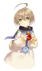 Rule 34 | 1boy, ahoge, apple, blonde hair, blush, child, food, fruit, green eyes, jewelry, laphicet (tales), male focus, necklace, sailor collar, saru, simple background, solo, tales of (series), tales of berseria, upper body, white background
