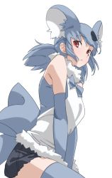 Rule 34 | 1girl, absurdres, animal ears, bare shoulders, between legs, brown eyes, commentary, elbow gloves, extra ears, fur collar, gloves, grey gloves, grey hair, grey thighhighs, hand between legs, highres, kemono friends, koala (kemono friends), long hair, looking at viewer, low twintails, parted lips, simple background, sleeveless, solo, tanabe (fueisei), thighhighs, twintails, white background