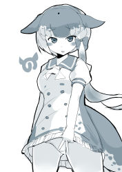 Rule 34 | 10s, 1girl, :d, absurdres, ascot, blush, bow, cetacean tail, dress, fins, fish tail, frilled dress, frills, greyscale, hair bow, highres, japari symbol, kanzakietc, kemono friends, looking at viewer, monochrome, multicolored hair, narwhal (kemono friends), open mouth, panties, puffy short sleeves, puffy sleeves, sailor dress, short dress, short hair with long locks, short sleeves, simple background, smile, solo, tail, underwear, v, white background