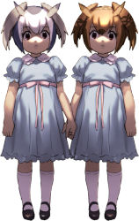 Rule 34 | 10s, 2girls, black footwear, blue dress, brown eyes, brown hair, closed mouth, collared dress, dress, eurasian eagle owl (kemono friends), grady sisters (the shining), grey hair, head wings, holding hands, kemono friends, kneehighs, looking at viewer, multicolored hair, multiple girls, northern white-faced owl (kemono friends), pink ribbon, puffy short sleeves, puffy sleeves, ribbon, roonhee, sash, shaded face, shoes, short hair, short sleeves, siblings, simple background, socks, the shining, twins, two-tone hair, white background, white legwear, wings