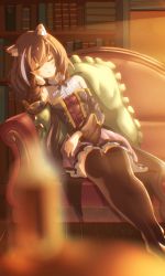 Rule 34 | 1girl, absurdres, animal ear fluff, animal ears, black thighhighs, blue ribbon, blue sleeves, blurry, blurry foreground, blush, bookshelf, brown hair, bustier, cat ears, cat girl, closed eyes, couch, detached sleeves, dusk, head rest, highres, indoors, karyl (princess connect!), layered skirt, long hair, long sleeves, miniskirt, neck ribbon, okg, pillow, pink skirt, princess connect!, ribbon, shirt, signature, skirt, sleeping, sleeveless, sleeveless shirt, solo, thighhighs, very long hair, white shirt, wooden floor, zettai ryouiki