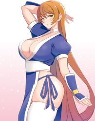 Rule 34 | 1girl, absurdres, breasts, dead or alive, highres, kasumi (doa), large breasts, long hair, solo