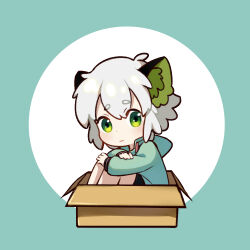 Rule 34 | 1boy, animal ear fluff, animal ears, black shorts, blue background, blue jacket, blush, box, chibi, closed mouth, full body, green eyes, grey hair, hair between eyes, hugging own legs, in box, in container, jacket, knees up, long sleeves, looking at viewer, luo xiaohei, luo xiaohei zhanji, male focus, puffy long sleeves, puffy sleeves, que meng meng, round image, short eyebrows, shorts, sitting, solo, thick eyebrows, two-tone background, white background