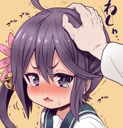 Rule 34 | 10s, 1boy, 1girl, admiral (kancolle), akebono (kancolle), bad id, bad pixiv id, bell, blush, crying, crying with eyes open, flower, hair bell, hair flower, hair ornament, hand on another&#039;s head, jingle bell, kantai collection, long sleeves, nose blush, open mouth, out of frame, headpat, portrait, purple eyes, purple hair, school uniform, serafuku, side ponytail, simple background, solo focus, tears, trembling, upper body, wavy mouth, yellow background, yukinojou yakan