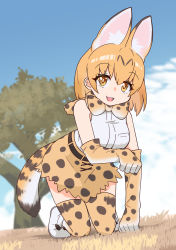 Rule 34 | 1girl, absurdres, animal ears, animal print, arm support, bare shoulders, bent over, black hair, bow, bowtie, breast pocket, breasts, colored inner hair, day, dutch angle, elbow gloves, extra ears, full body, gloves, grass, high-waist skirt, highres, kemono friends, kneeling, looking at viewer, medium breasts, medium hair, miniskirt, multicolored hair, nyaseiru, open mouth, orange hair, outdoors, paw pose, pocket, print bow, print bowtie, print gloves, print scarf, print skirt, print thighhighs, savannah, scarf, serval (kemono friends), serval print, shirt, shoes, skirt, sleeveless, sleeveless shirt, smile, solo, tail, taut clothes, taut shirt, thighhighs, tree, two-tone hair, yellow eyes, zettai ryouiki