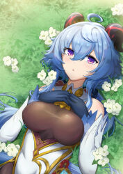Rule 34 | 1girl, ahoge, bare shoulders, blue gloves, blue hair, breasts, commentary, detached sleeves, flower, ganyu (genshin impact), genshin impact, gloves, grass, hair between eyes, hands on own chest, high-waist skirt, highres, horns, large breasts, long hair, long sleeves, looking at viewer, lying, on back, parted lips, purple eyes, qingxin flower, revision, rixchii yi, skirt, solo, upper body, very long hair, white flower, white skirt