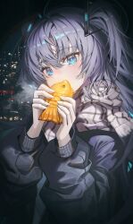 Rule 34 | 1girl, absurdres, baggy clothes, blue archive, blue eyes, blue hair, blush, checkered clothes, checkered scarf, cityscape, eating, food, hair between eyes, highres, holding, holding food, jacket, long sleeves, looking at viewer, medium hair, night, noubin, scarf, solo, taiyaki, two side up, wagashi, white scarf, yuuka (blue archive)