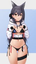 Rule 34 | 1girl, absurdres, american flag, animal ears, atago (azur lane), atago (stunning speedster) (azur lane), azur lane, bikini, black bikini, black choker, black hair, bottomless, bow, breasts, brown eyes, center opening, choker, commission, crop top, crossed bangs, extra ears, gluteal fold, hair bow, hands on own chest, highres, hood, hood down, hooded jacket, jacket, long hair, looking at viewer, medium breasts, nasa logo, navel, official alternate costume, side-tie bikini bottom, solo, spacex, swimsuit, the atko, thigh strap, two-tone background, zipper, zipper pull tab