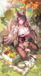 1girl absurdres akagi_(azur_lane) alternate_costume animal_ears apple azur_lane bare_shoulders bottle bread breasts brown_pantyhose cake cleavage day falling_leaves food fork fox_ears fox_girl fox_tail fruit grass highres holding jewelry knife large_breasts leaf long_sleeves looking_at_viewer looking_up manjuu_(azur_lane) multiple_tails necklace off_shoulder outdoors pantyhose parted_lips picnic purple_hair red_eyes sitting smile tail tansuan_(ensj3875) wariza