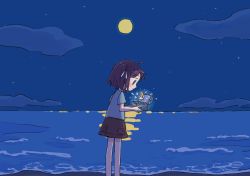 Rule 34 | 1girl, 1nupool, :|, ahoge, backlighting, bare legs, beach, blue eyes, blue shirt, blush stickers, bob cut, box, brown hair, brown shorts, closed mouth, cloud, dark, doll, expressionless, feet out of frame, from side, full moon, glowing, hair ribbon, hands up, highres, holding, holding box, holding toy, horizon, lavender ribbon, light particles, looking down, moon, moonlight, music box, night, night sky, no pupils, ocean, original, outdoors, pocket, profile, purple ribbon, reflection, reflective water, ribbon, scenery, shirt, shore, short hair, short sleeves, shorts, sky, solo, standing, star (sky), t-shirt, toy, water, waves