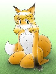 Rule 34 | 1girl, animal ears, barefoot, blonde hair, blush, feet, fox ears, fox tail, full body, furry, furry female, green eyes, looking at viewer, nude, pisipisi, short hair, sitting, solo, tail, toes, whiskers