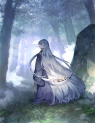 Rule 34 | 1girl, absurdly long hair, blunt bangs, boulder, closed mouth, day, fog, forest, from behind, grass, hair rings, hair tubes, highres, japanese clothes, kimono, long hair, long sleeves, looking at viewer, nature, outdoors, profile, raging loop, red eyes, sidelocks, sideways glance, silver hair, sleeves past fingers, sleeves past wrists, solo, standing, straight hair, sunakumo, uematsu rikako, very long hair, wide sleeves