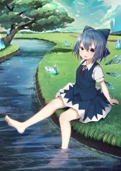 Rule 34 | 1girl, absurdres, arm support, barefoot, blue dress, blue eyes, blue hair, bow, cirno, crystal, dress, fairy wings, hair between eyes, hair bow, highres, ice, ice wings, looking at viewer, mamemochi, open mouth, outdoors, river, short hair, short sleeves, sitting, soaking feet, solo, teeth, touhou, tree, upper teeth only, wings