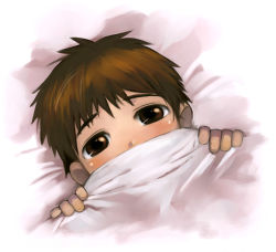 Rule 34 | bed, bed sheet, blush, brown eyes, brown hair, hiding, original, satou toshiyuki, shy, solo